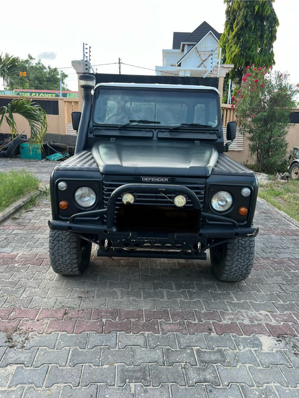 Landrover Defender 110 truck