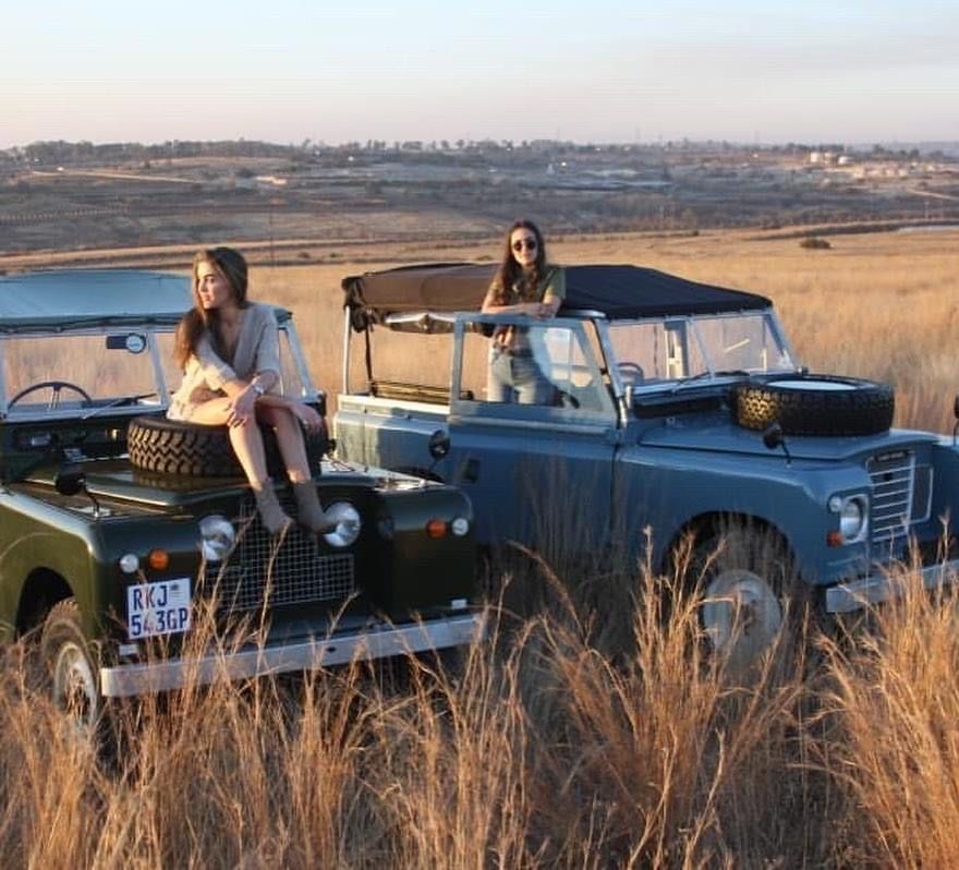 Two classic Land Rovers in a golden field at sunset