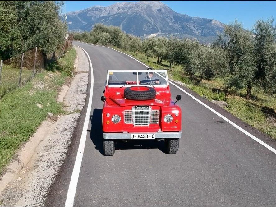 Red Series Land Rover on winding road through olive groves