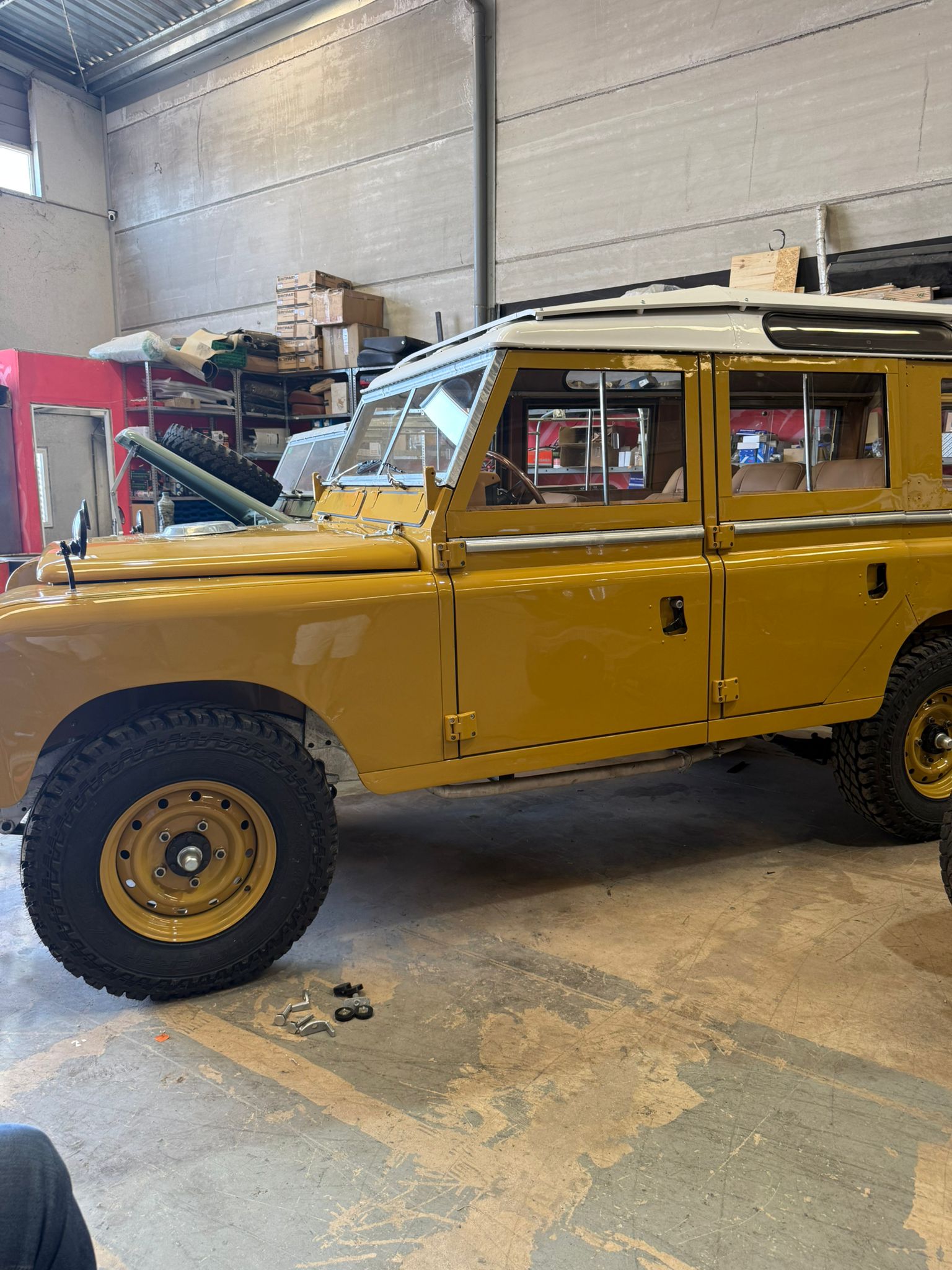 Bahama Gold — palette and works 13