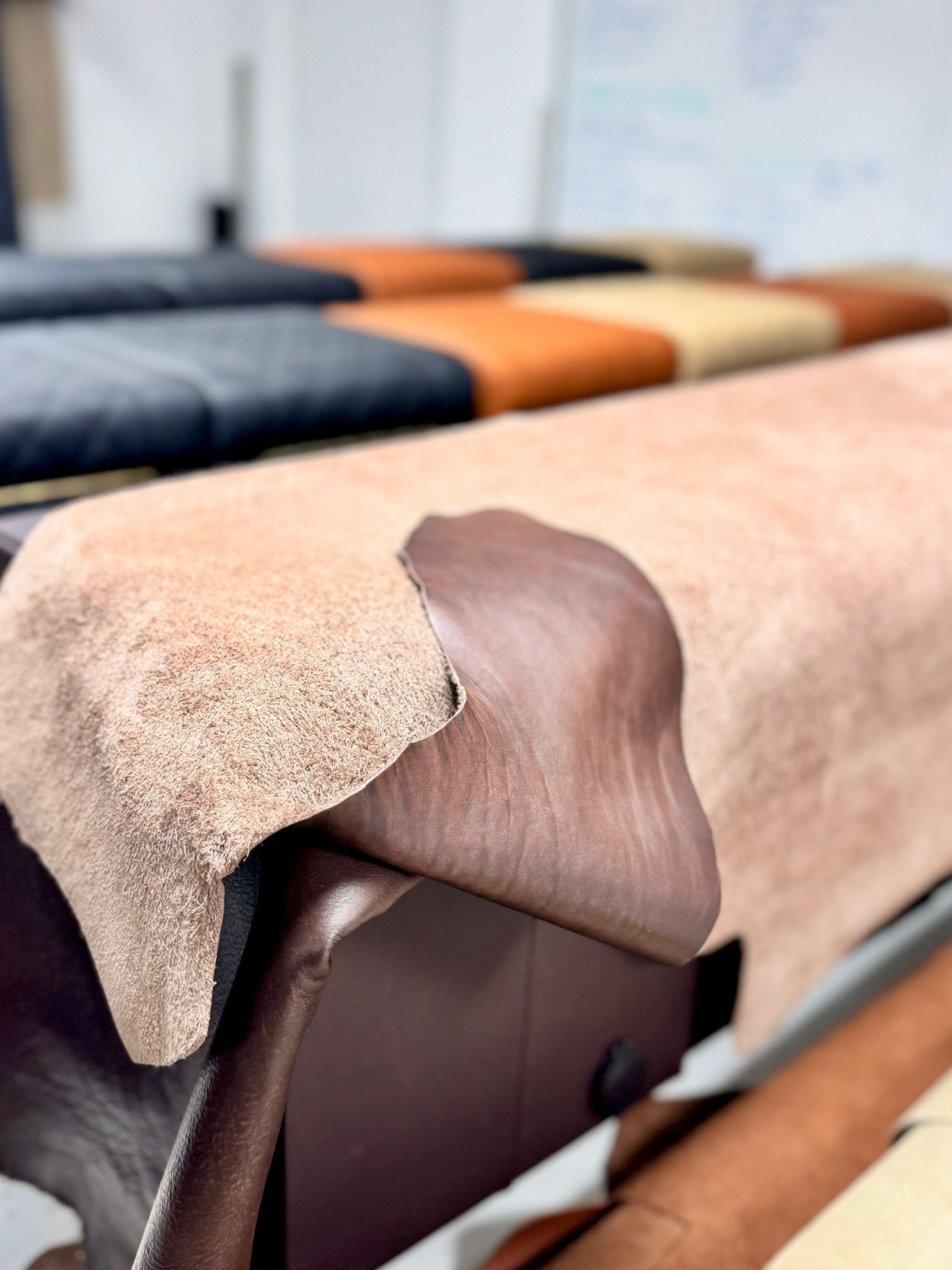 Palm Beach Edition — palette and works 3