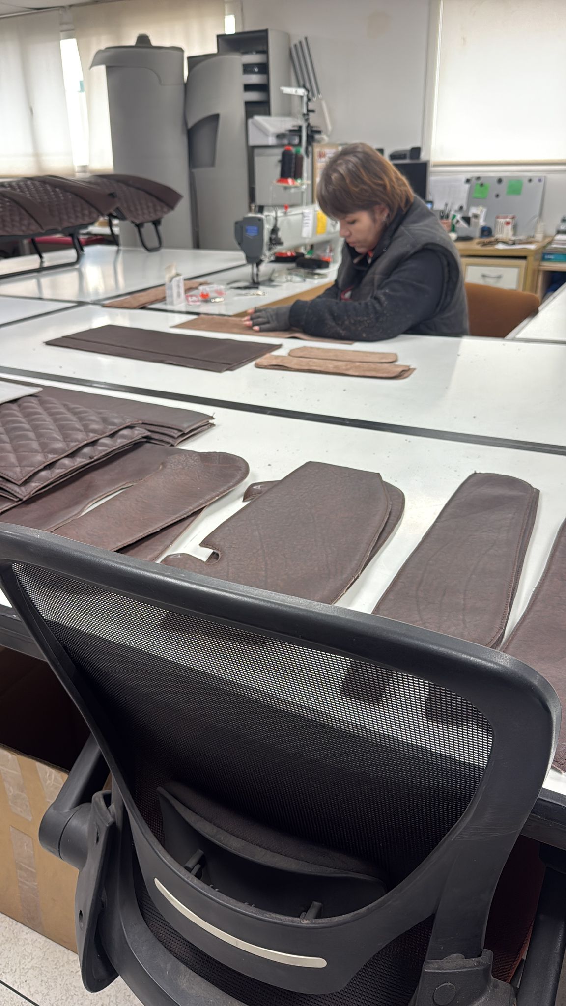 Palm Beach Edition — palette and works 8