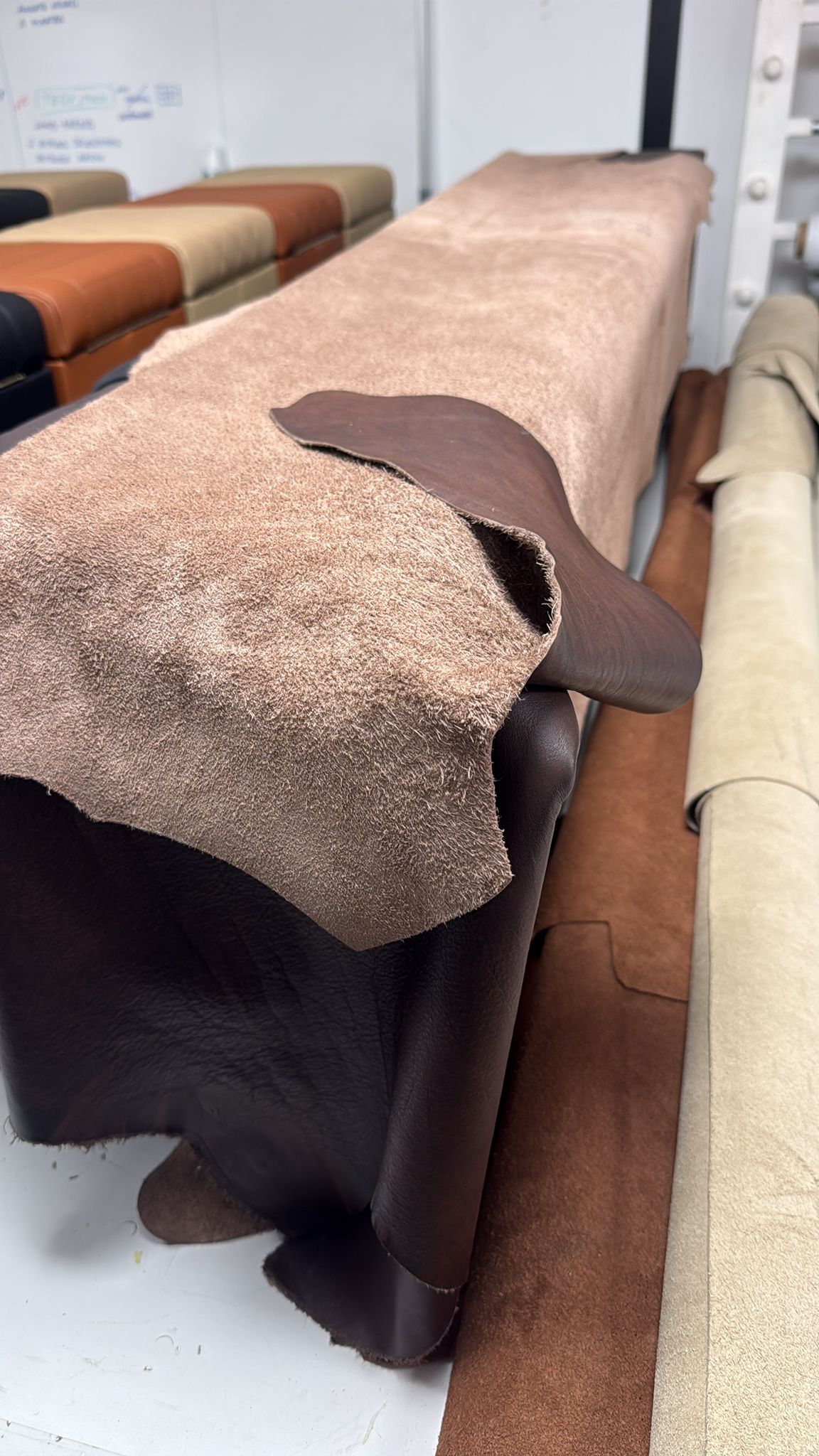 Palm Beach Edition — palette and works 12