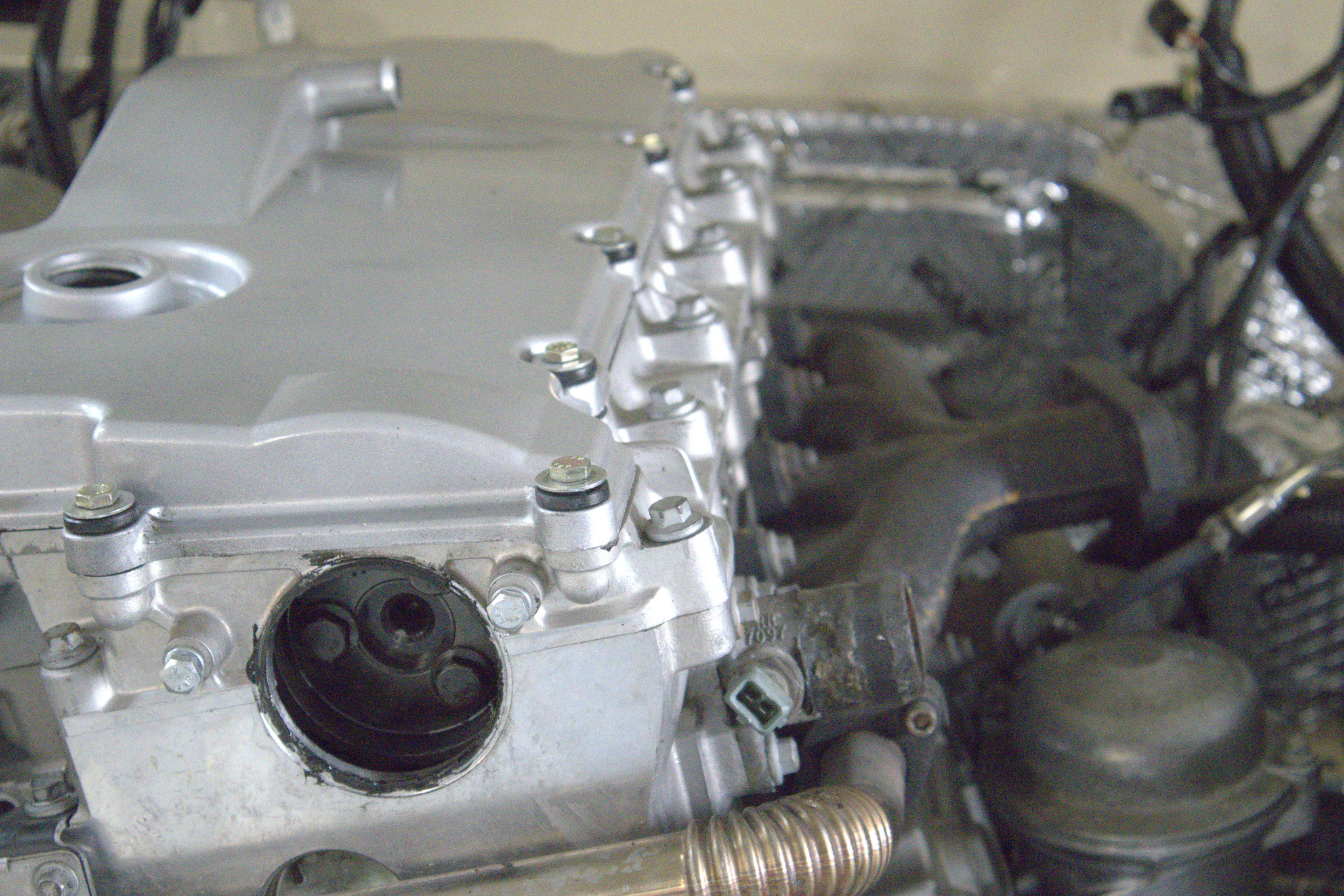 Palm Beach Edition — 78