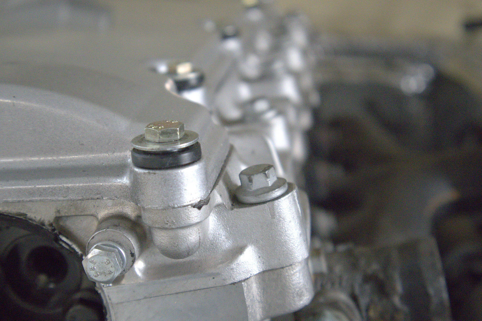 Palm Beach Edition — 79