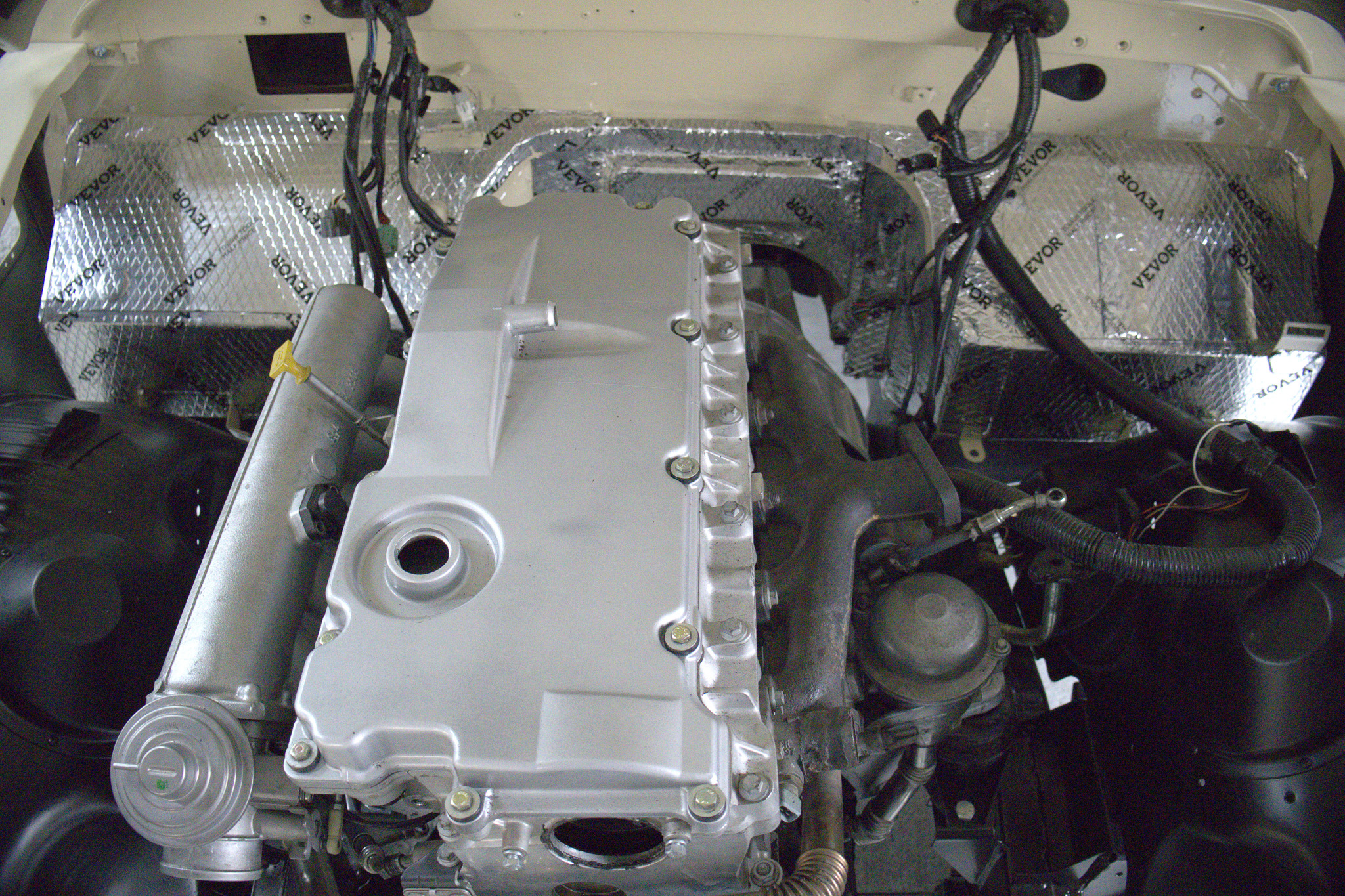 Palm Beach Edition — 81